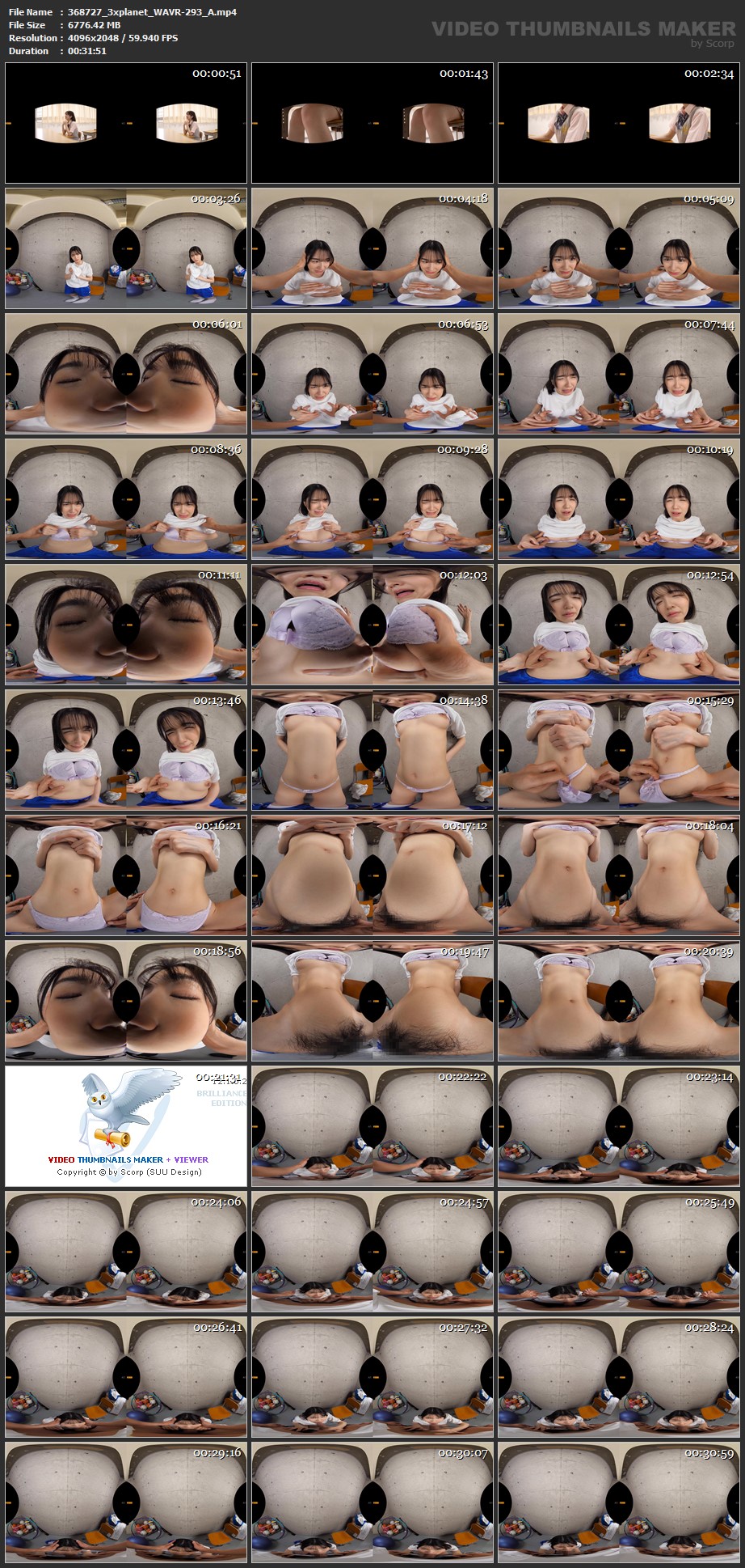 WAVR-293 screens previewer