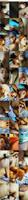 484406_3xplanet_CNAV_chn25062008_s