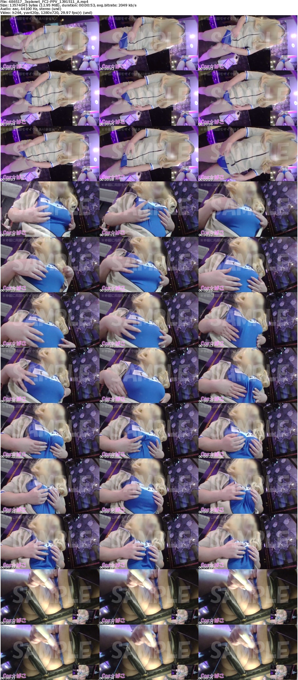 FC2-PPV_1391511_A_s