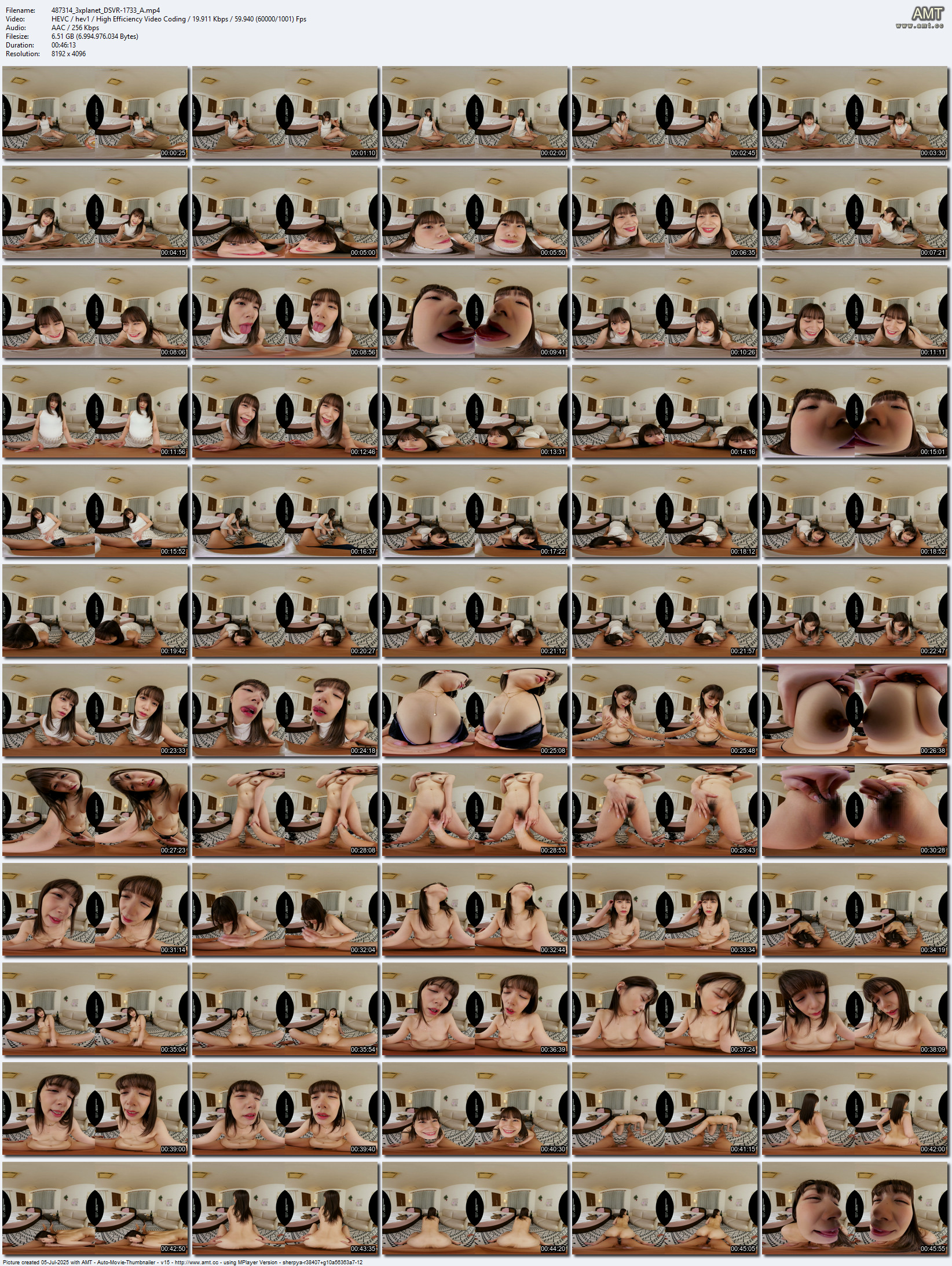 DSVR-1733 screens previewer