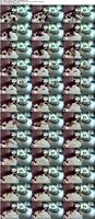 488103_3xplanet_CNAV_chn25070913_s