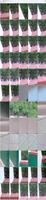 489628_3xplanet_CNAV_chn25071710_s