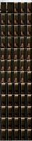 490048_3xplanet_CNAV_chn25071810_s