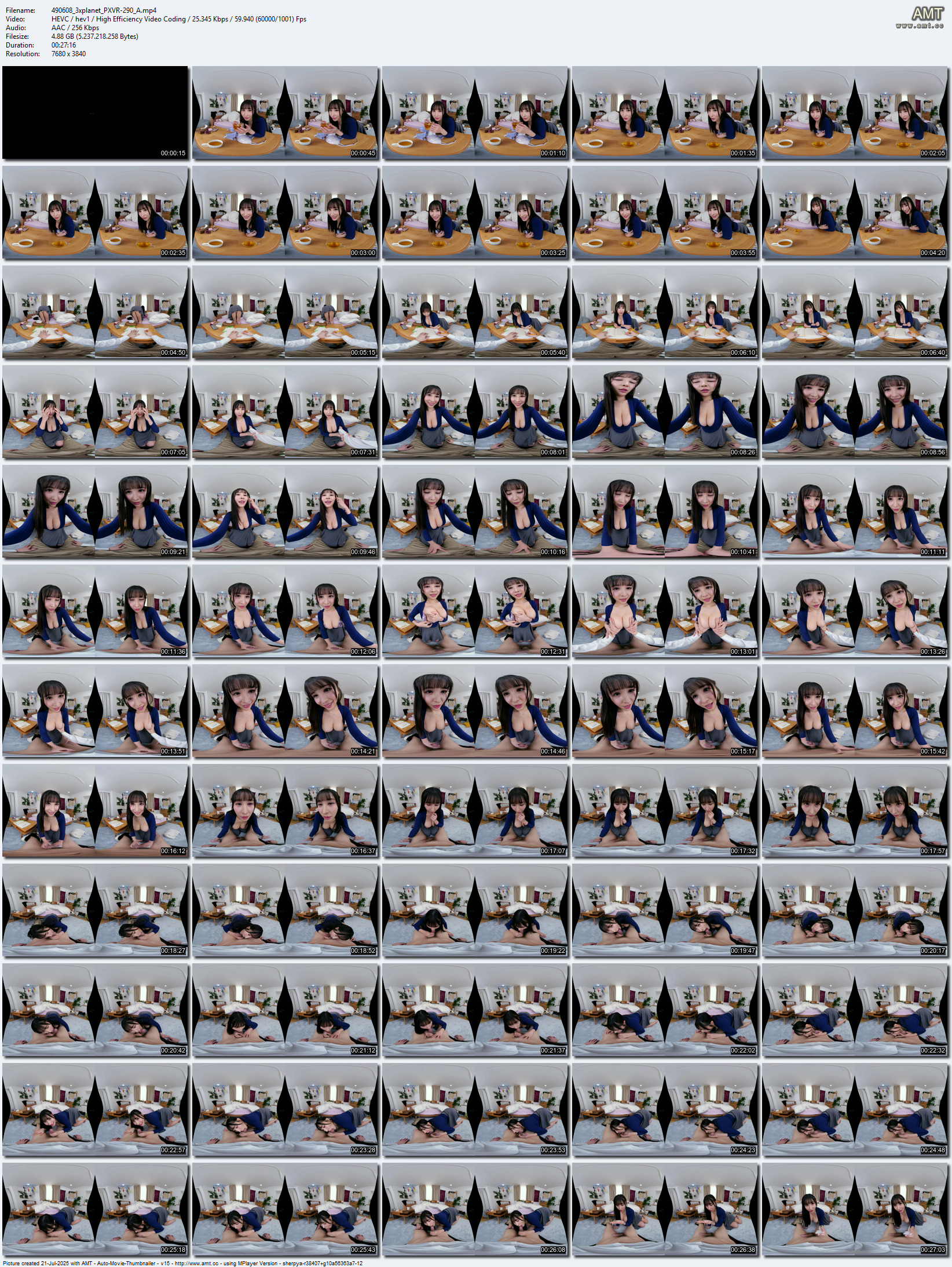 PXVR-290 screens previewer