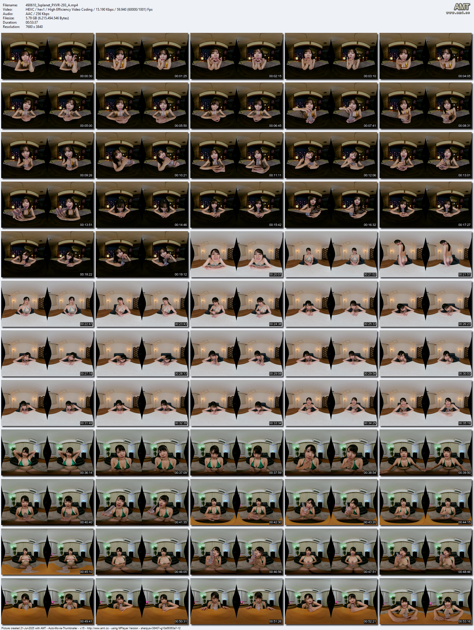 PXVR-293 screens previewer