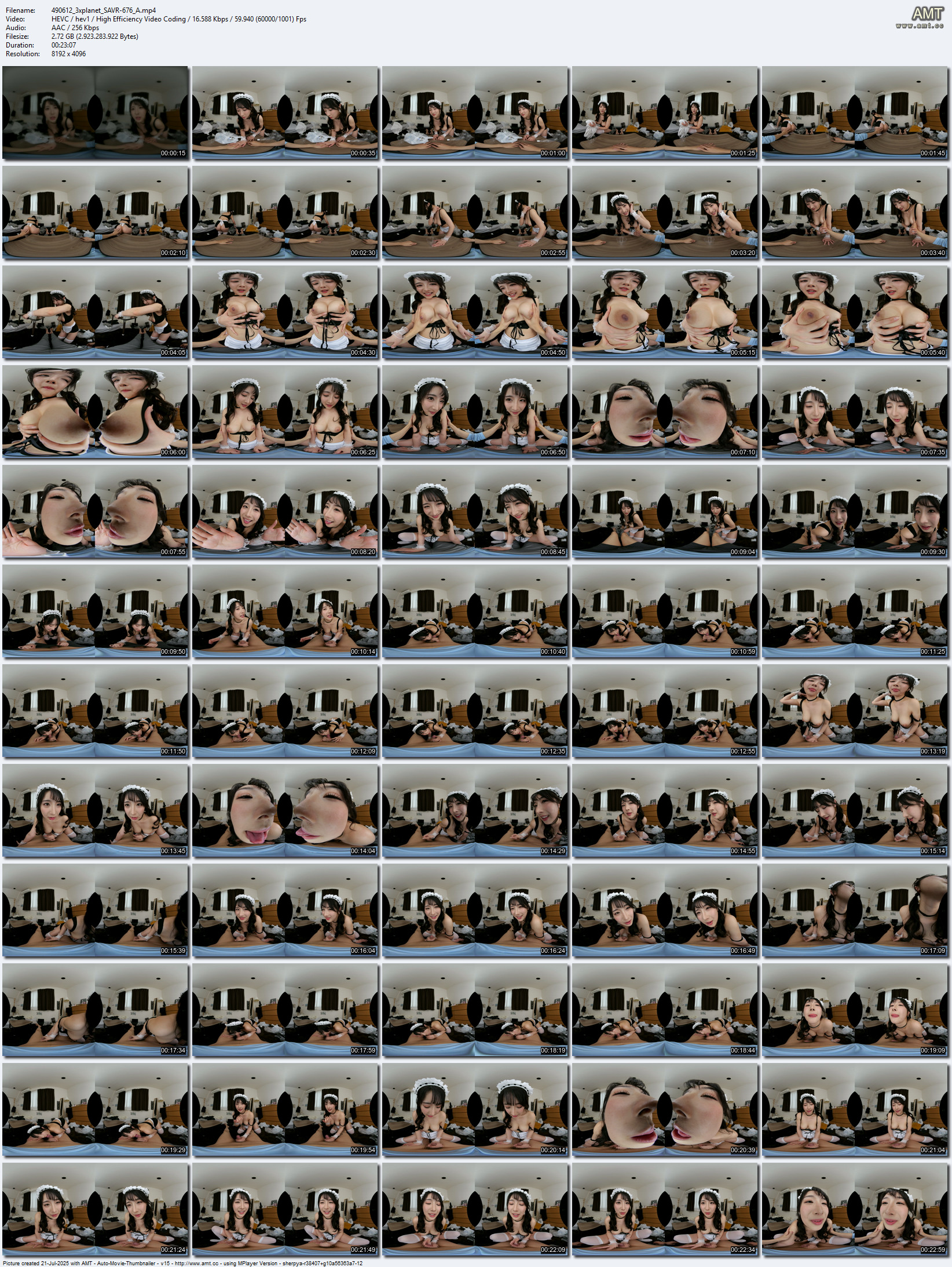 SAVR-676 screens previewer