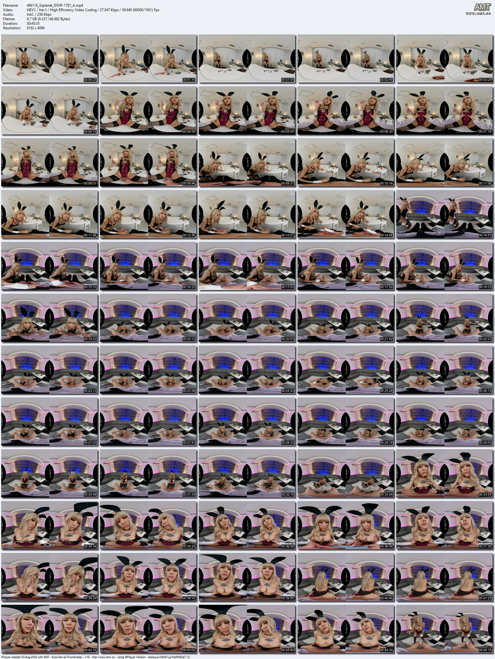 DSVR-1791 screens previewer