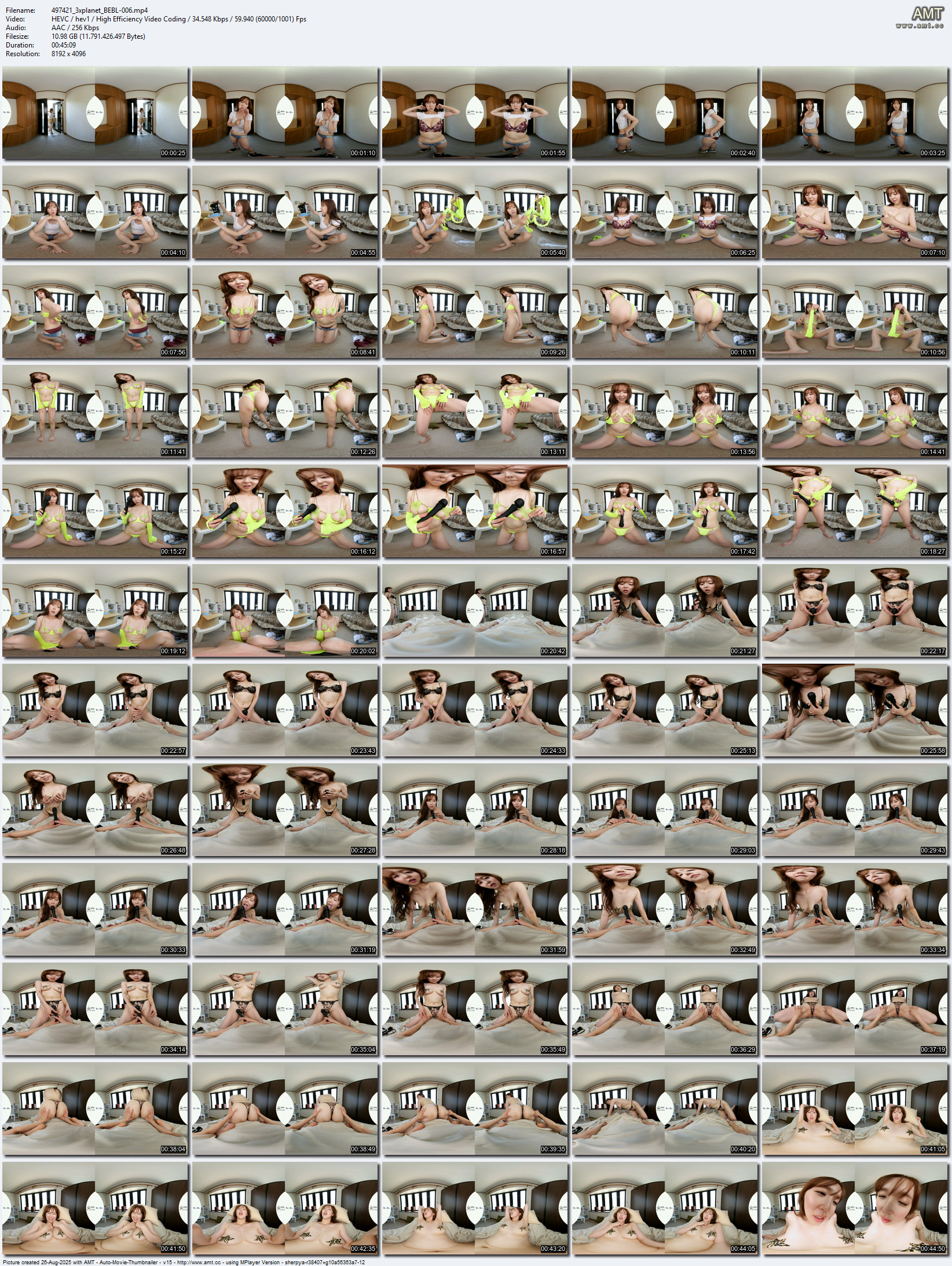 BEBL-006 screens previewer