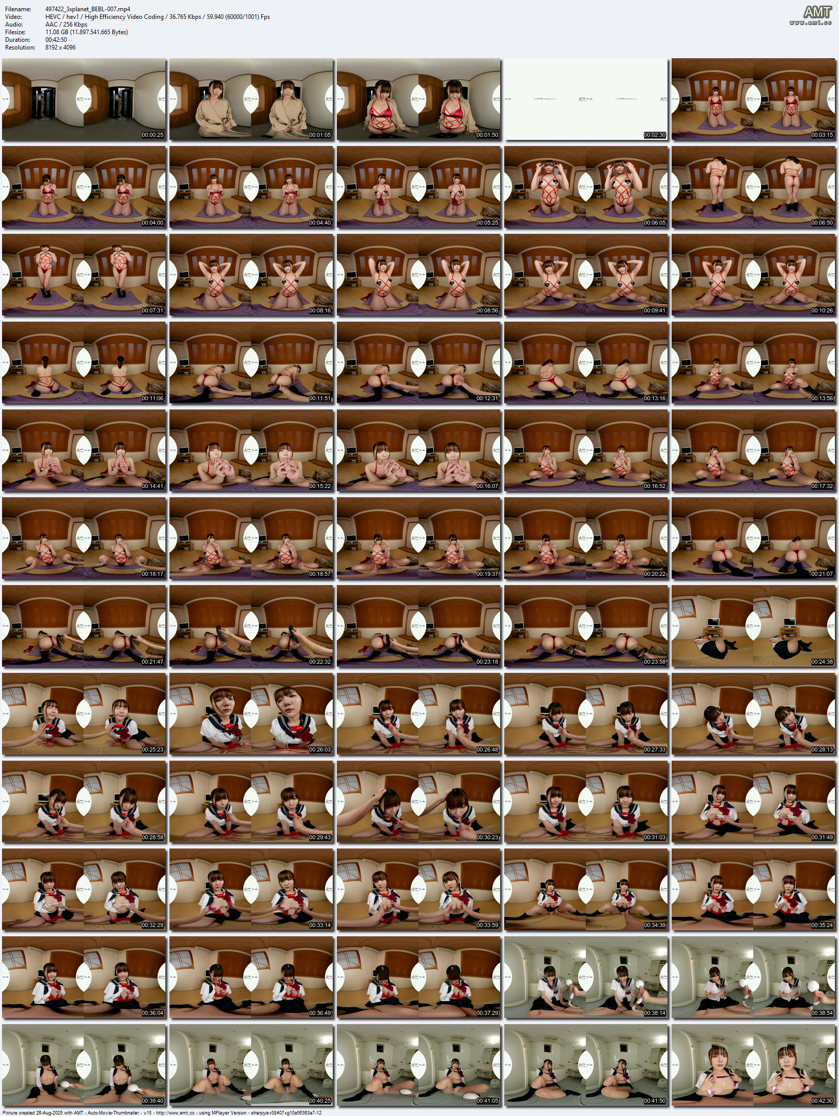 BEBL-007 screens previewer