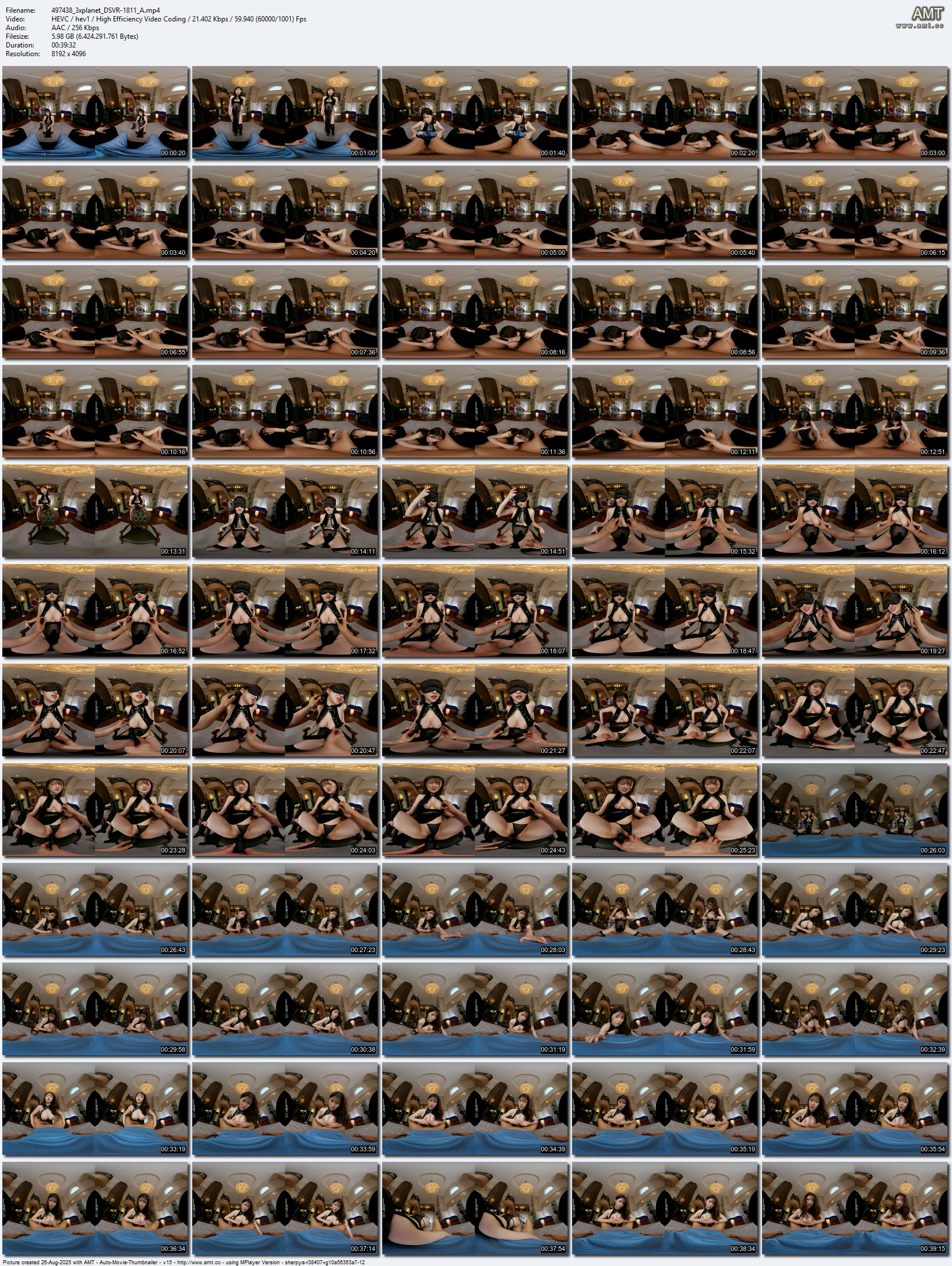 DSVR-1811 screens previewer