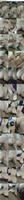497430_3xplanet_CNAV_chn25082606_s