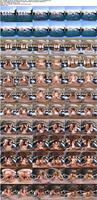 497808_3xplanet_Naughty_America_VR_-_Hannah_Hawthorne_Ke20250828_s