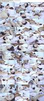 500954_3xplanet_CNAV_chn25091302_s