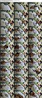 502929_3xplanet_CNAV_chn25092313_s