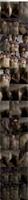 503238_3xplanet_CNAV_chn25092503_s