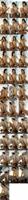 504385_3xplanet_CNAV_chn25100102_s