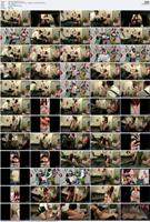 BDST-081_s
