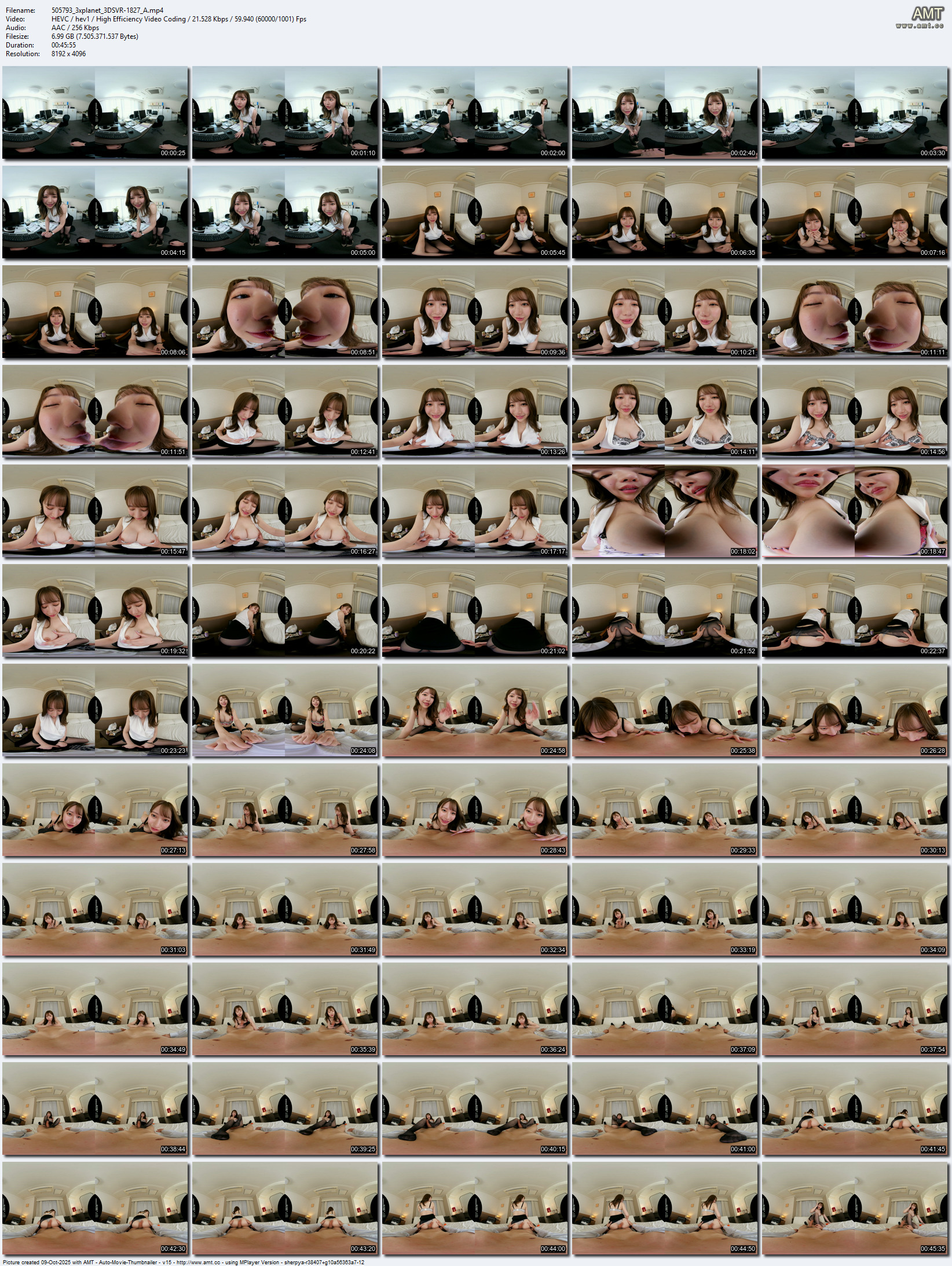 3DSVR-1827 screens previewer
