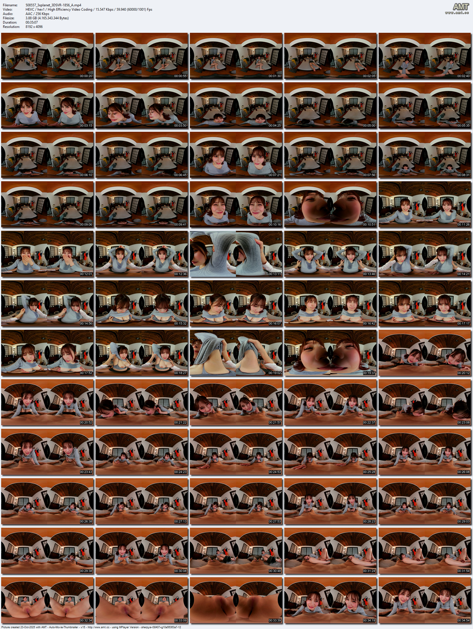 3DSVR-1856 screens previewer