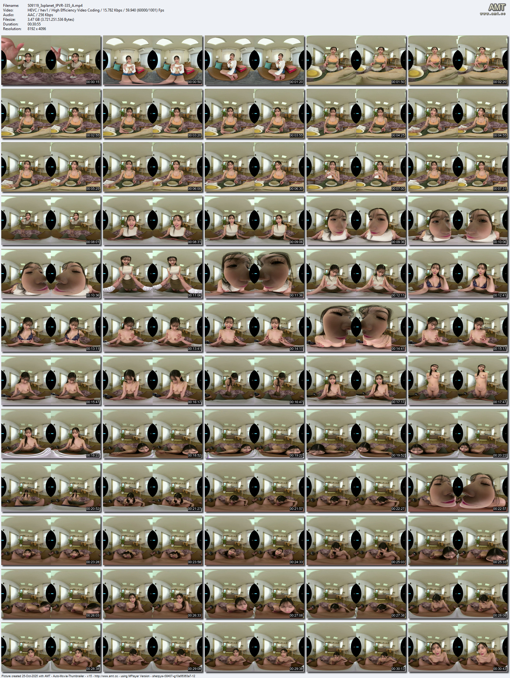 IPVR-335_A