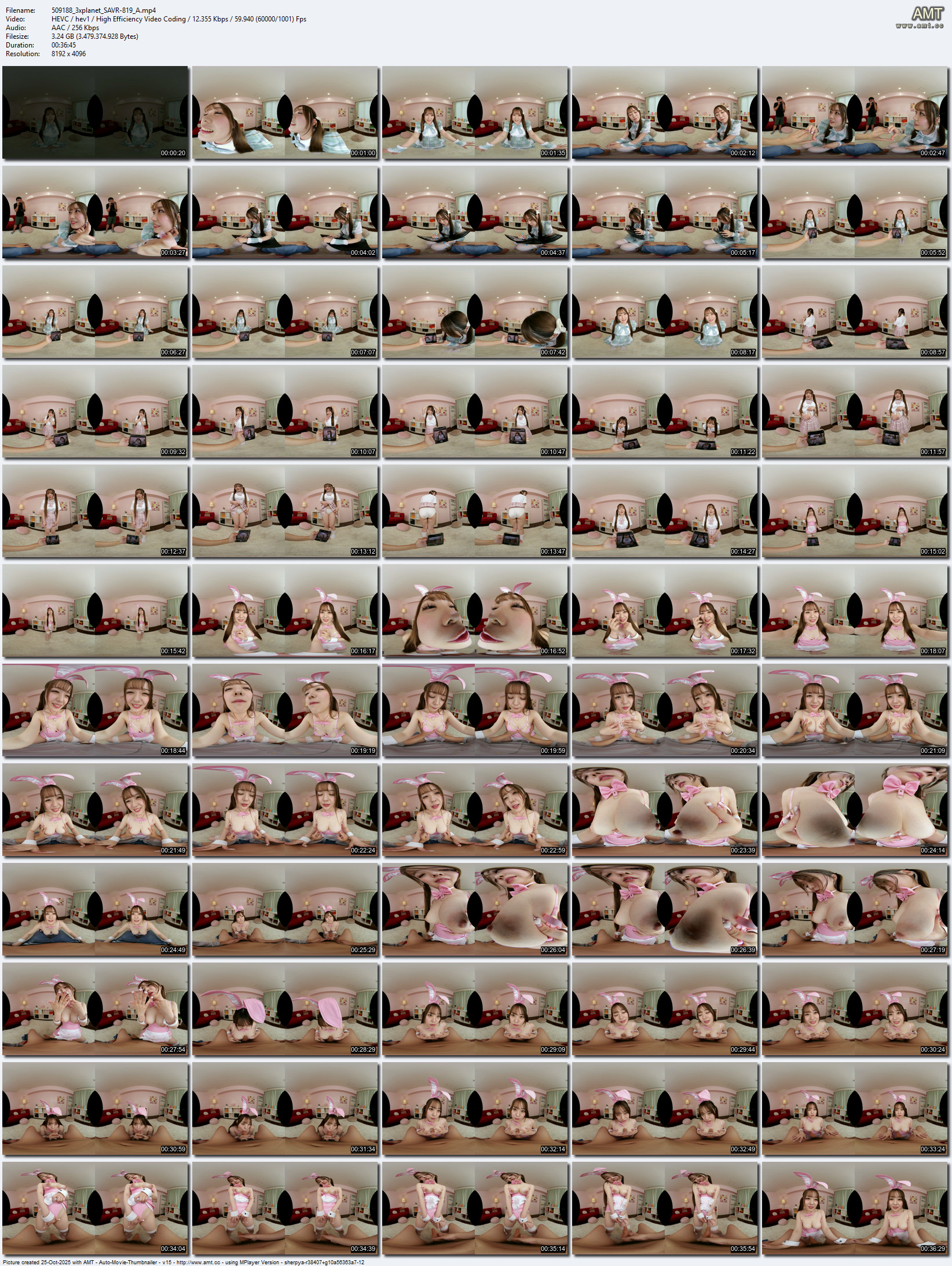 SAVR-819 screens previewer