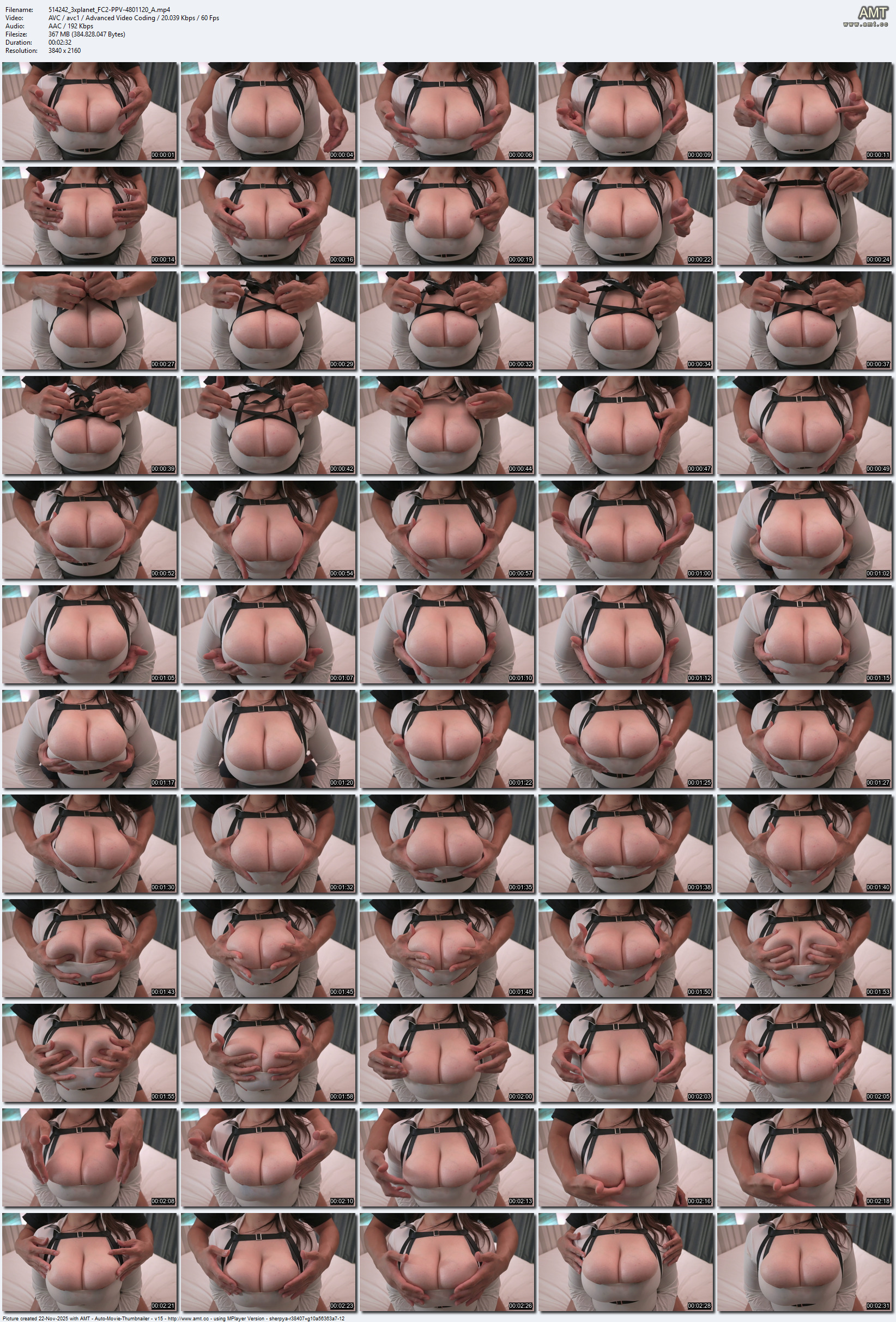 FC2-PPV-4801120 screens previewer