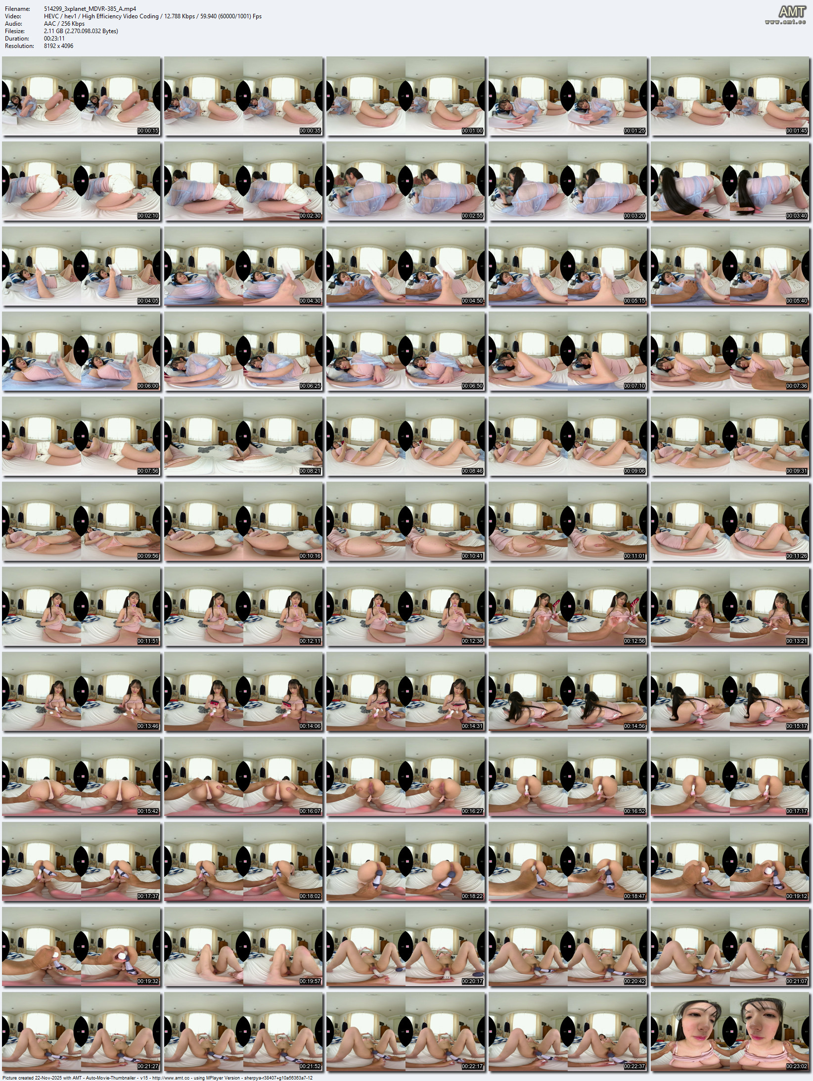 MDVR-385 screens previewer