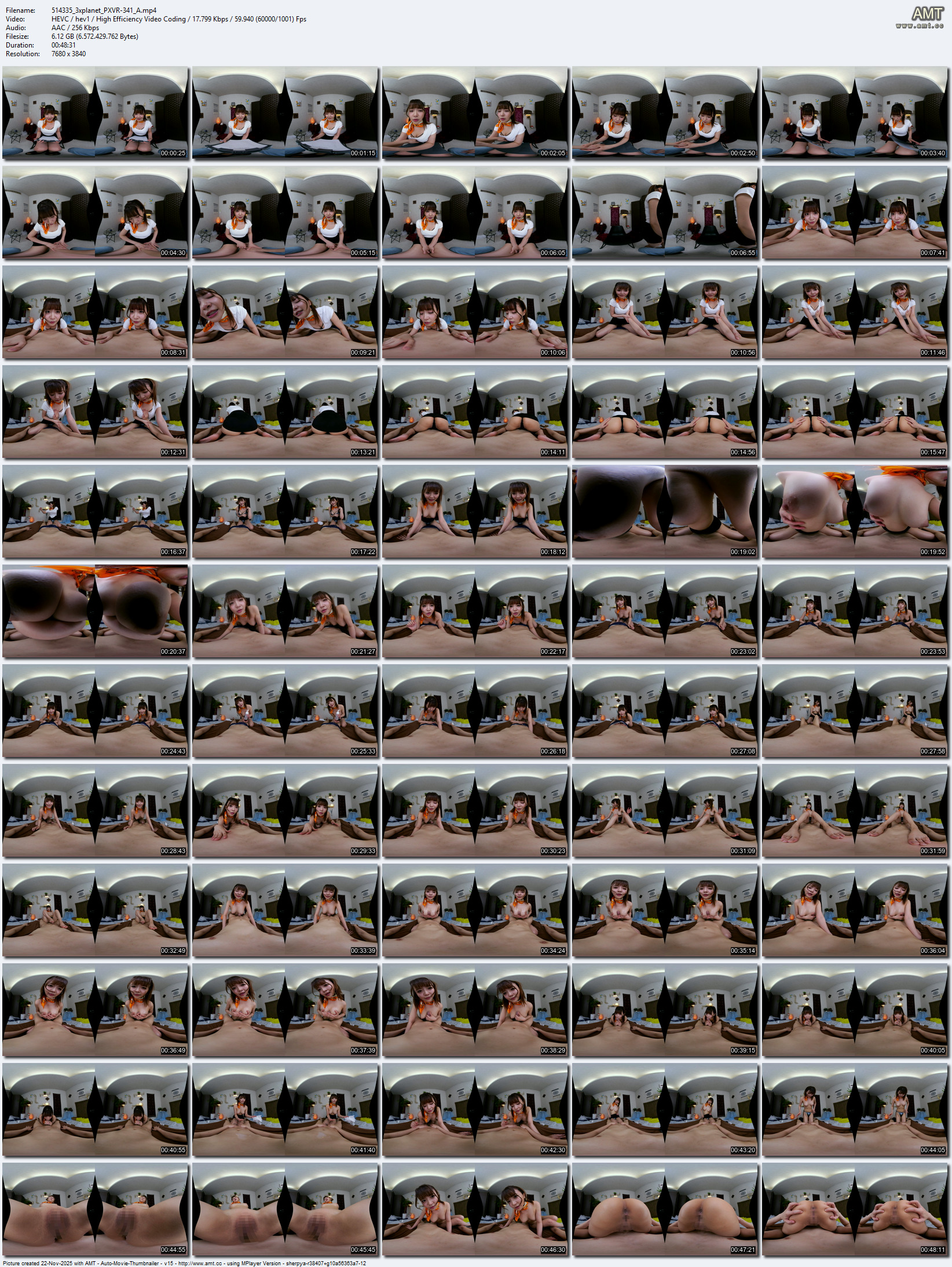 PXVR-341 screens previewer