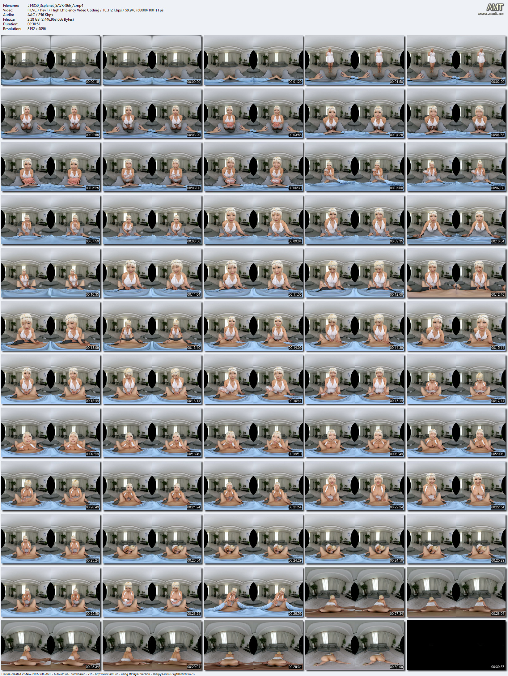 SAVR-866 screens previewer