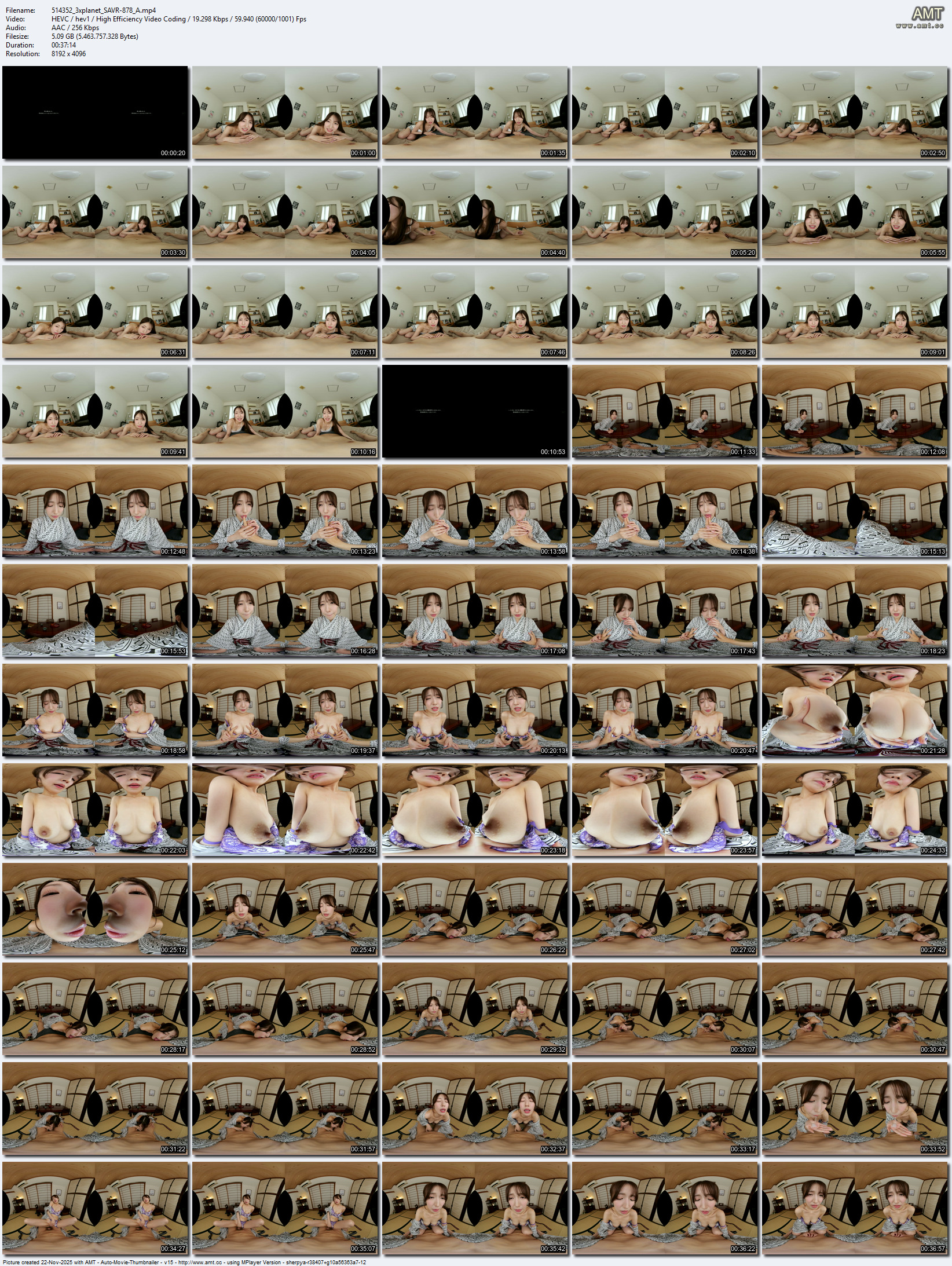 SAVR-878 screens previewer