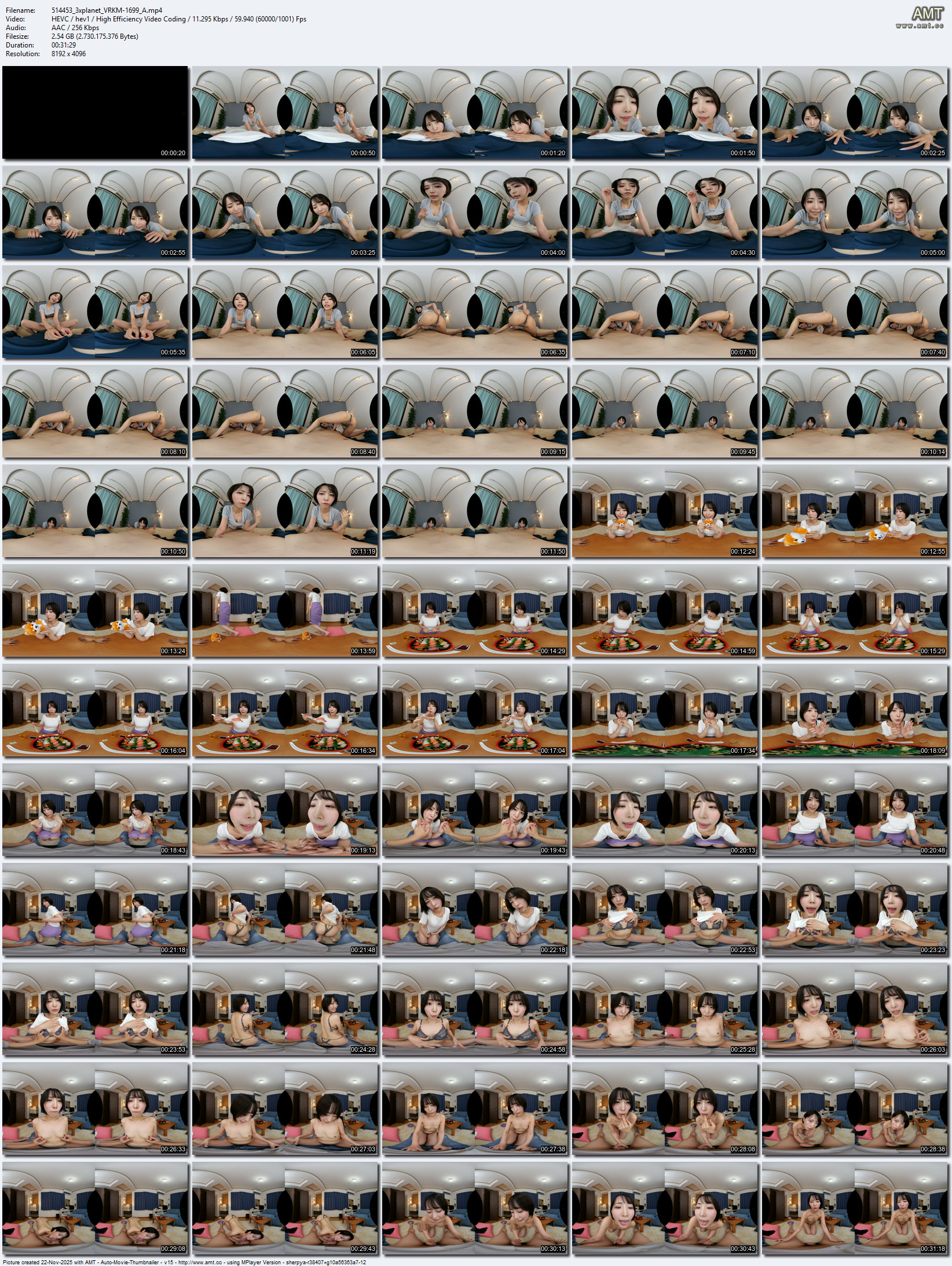 VRKM-1699 screens previewer