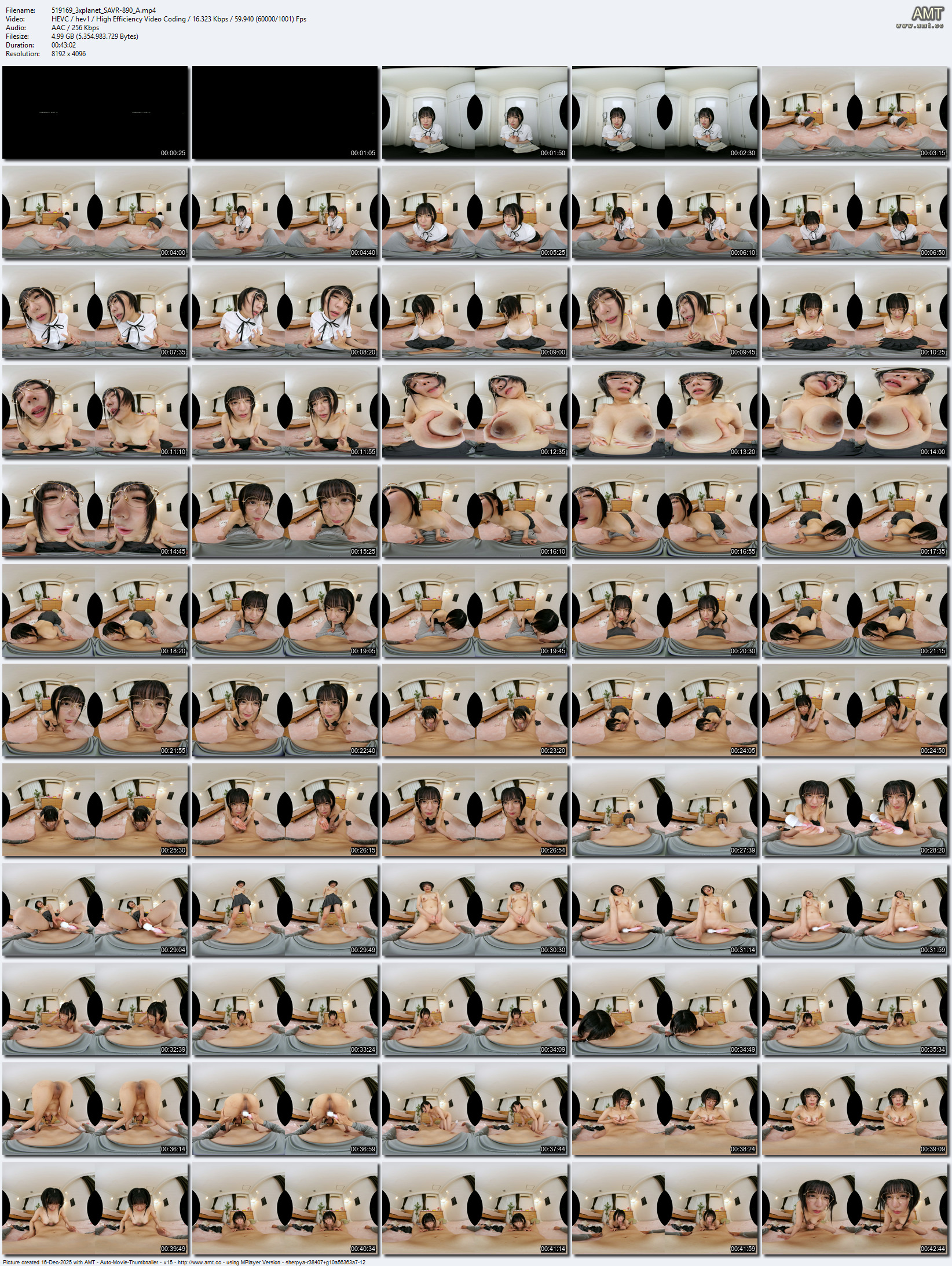 SAVR-890 screens previewer