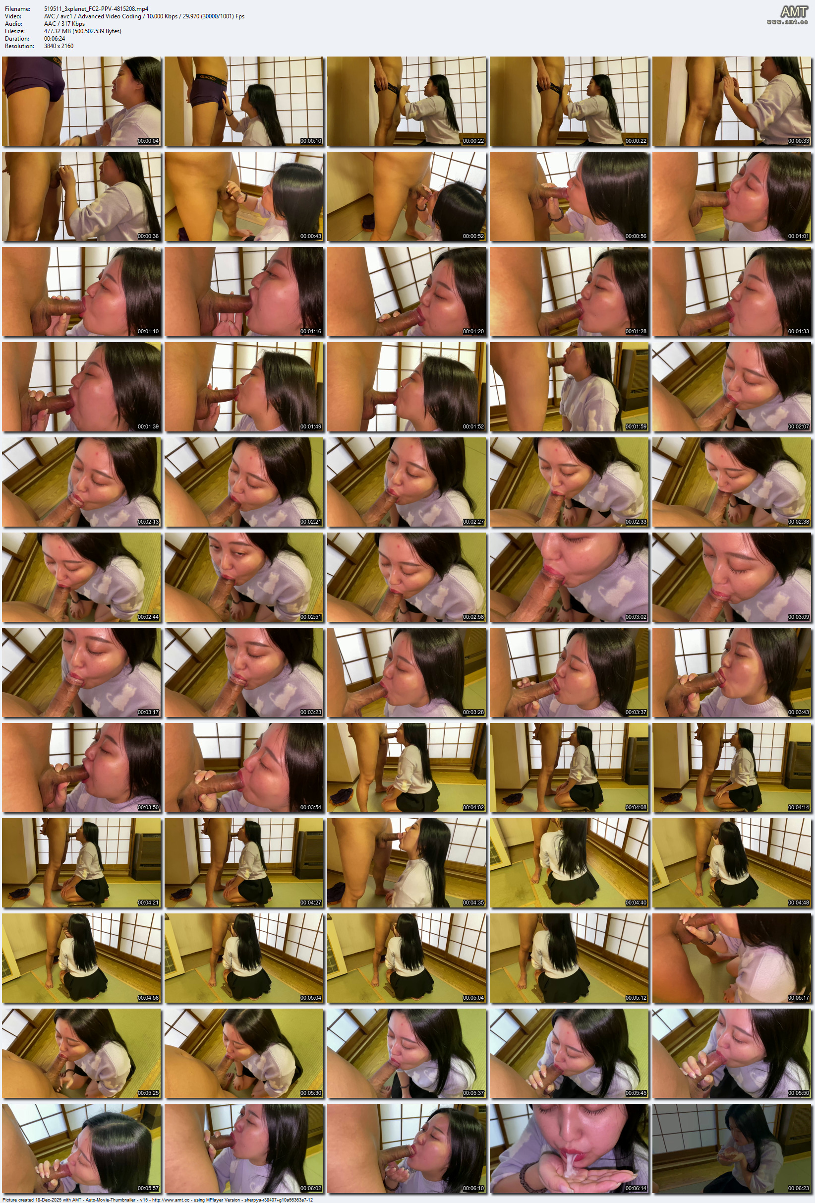 FC2-PPV-4815208 screens previewer