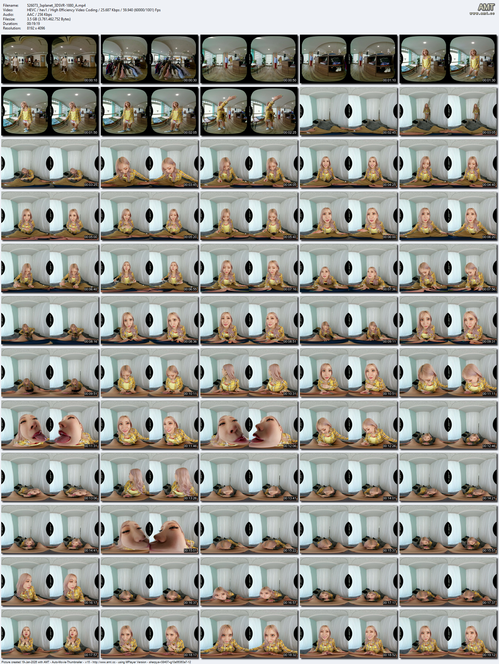 3DSVR-1880 screens previewer