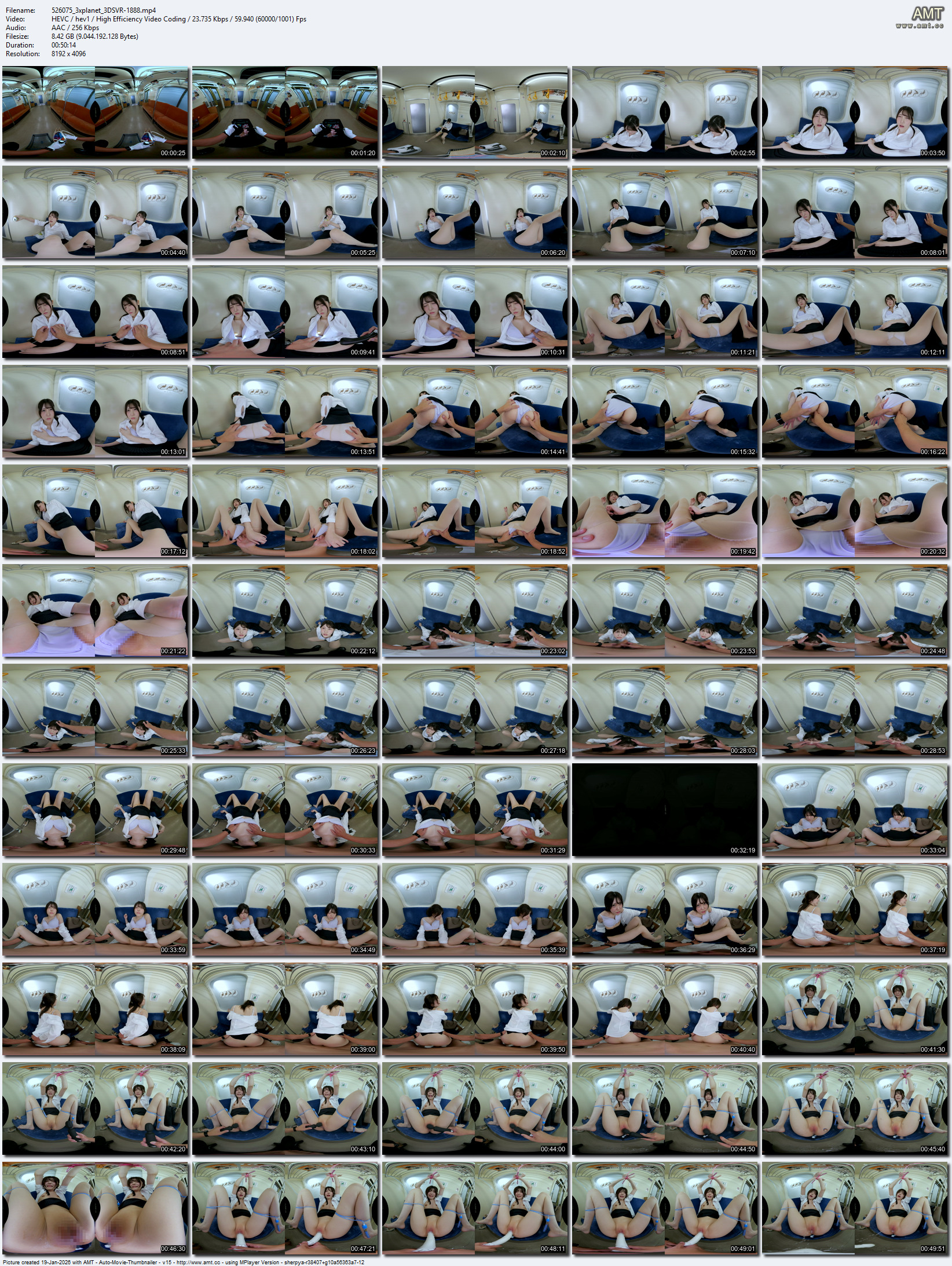 3DSVR-1888 screens previewer