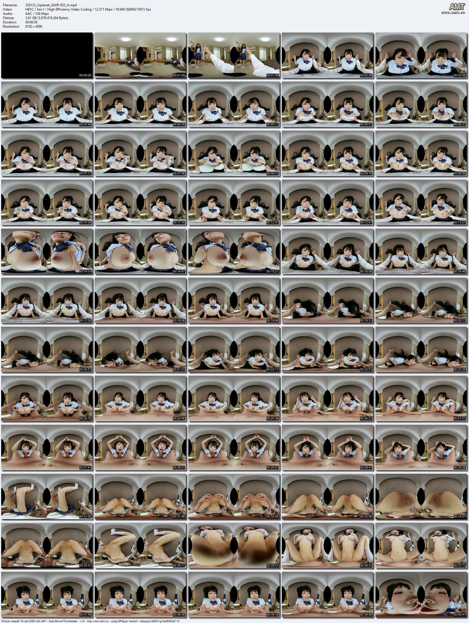 SAVR-935 screens previewer