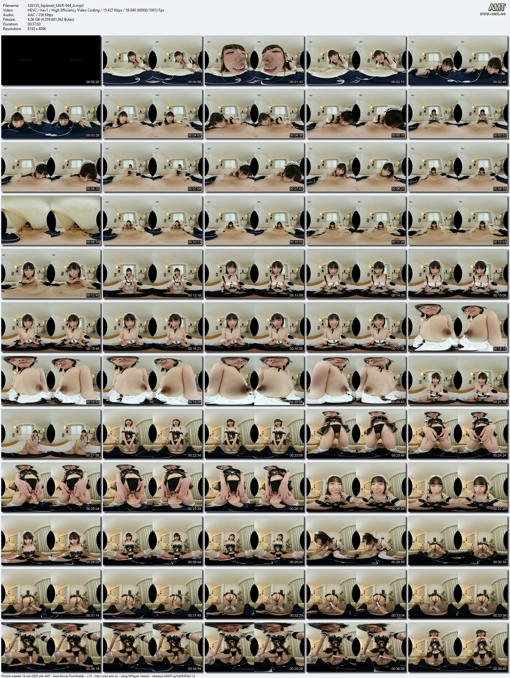 SAVR-944 screens previewer