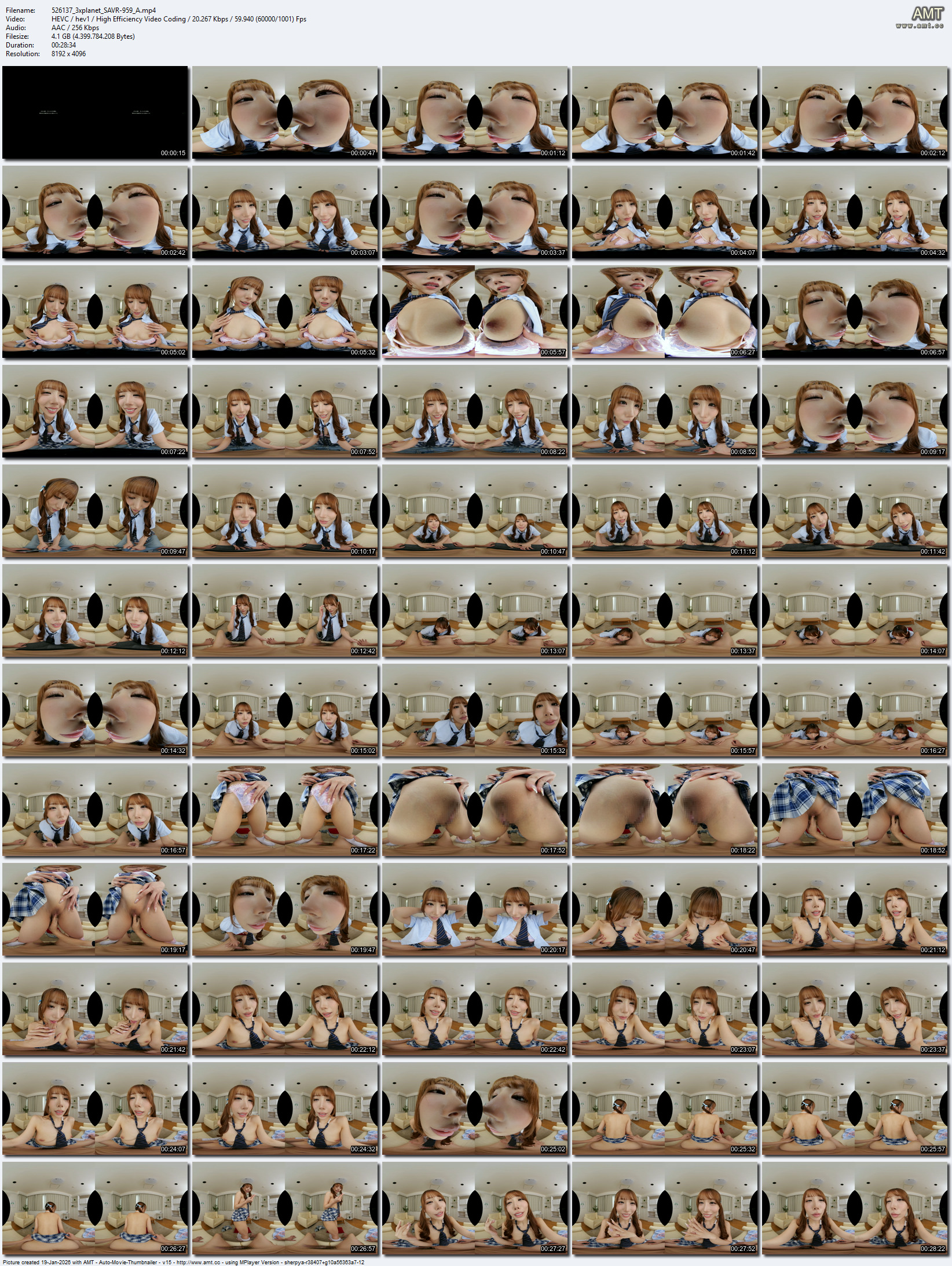 SAVR-959 screens previewer