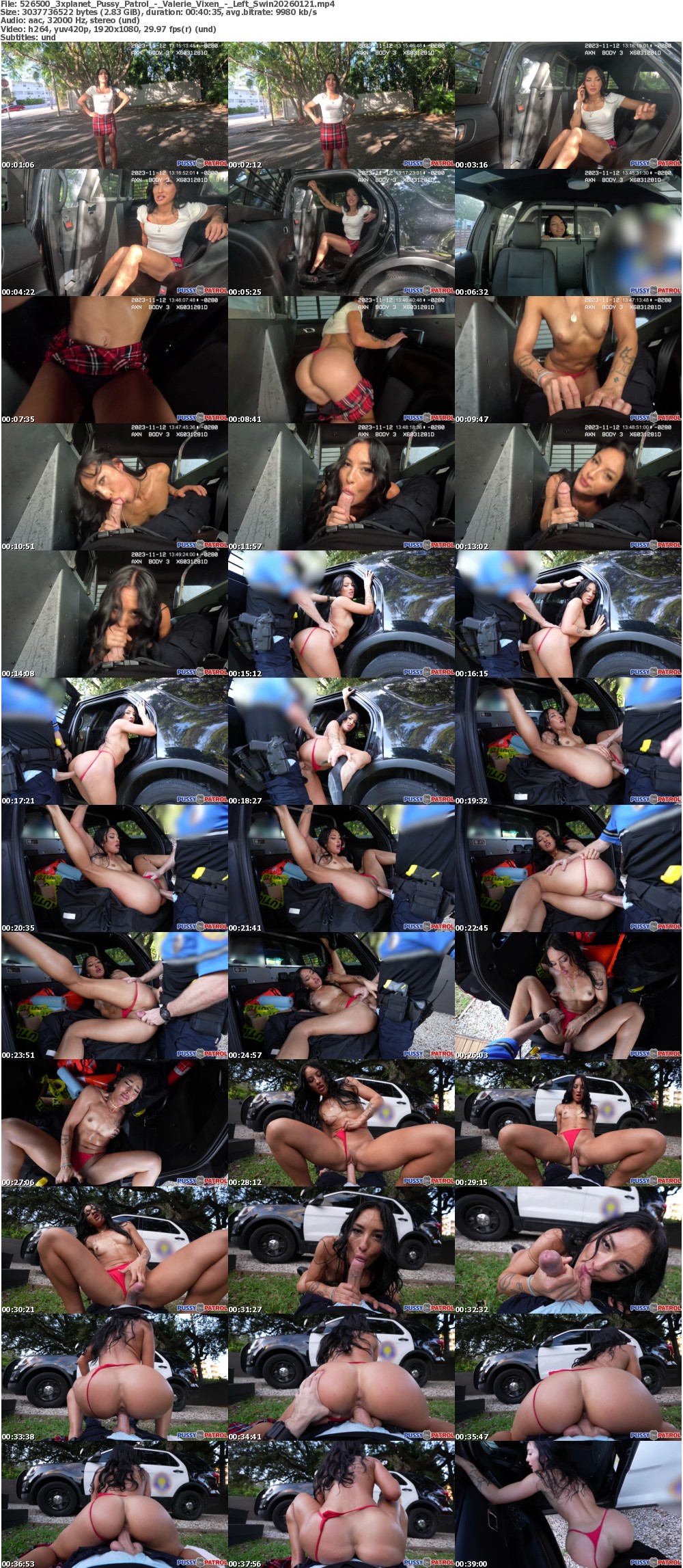 Pussy_Patrol_-_Valerie_Vixen_-_Left_Swin20260121_s