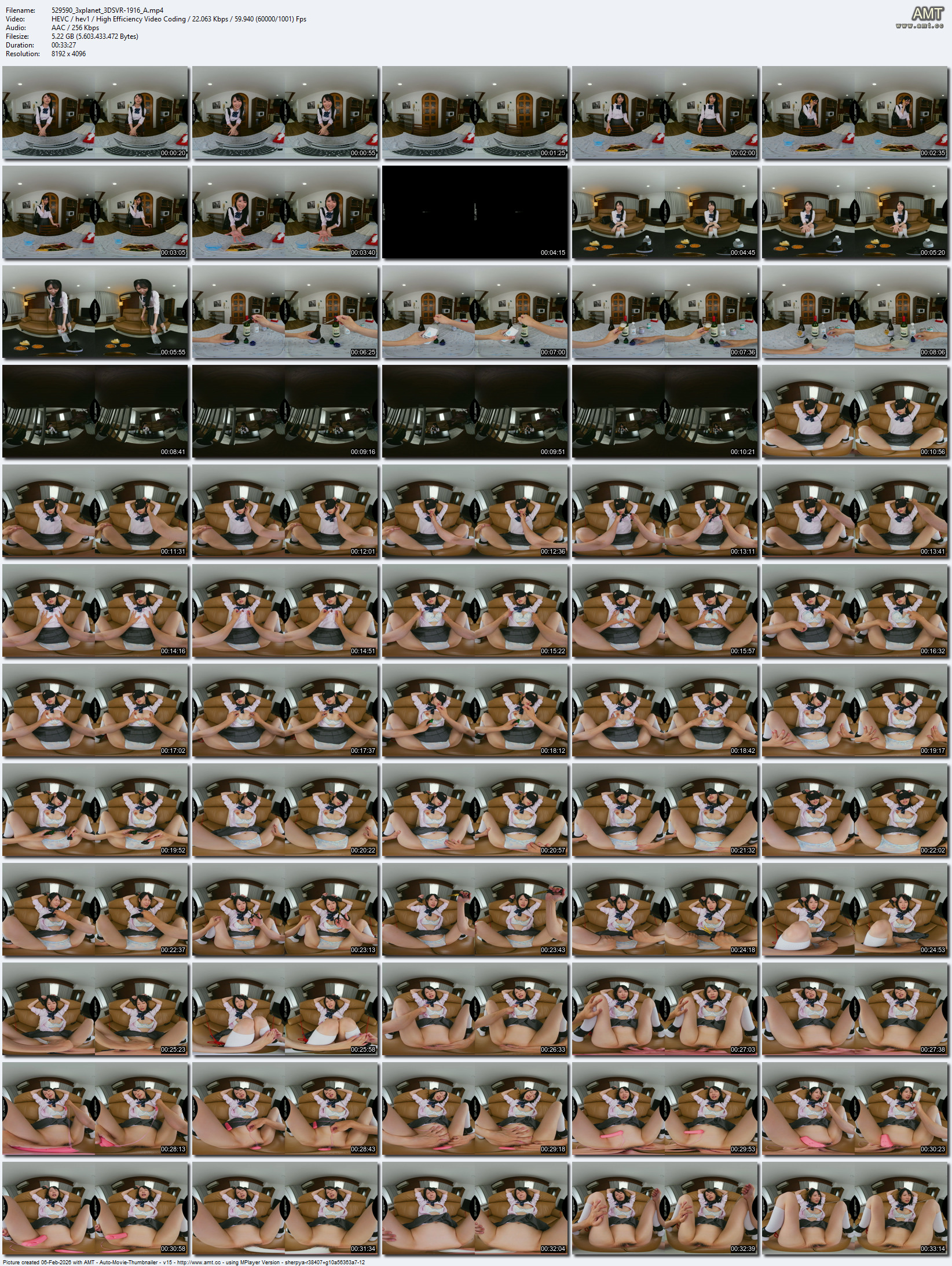 3DSVR-1916 screens previewer