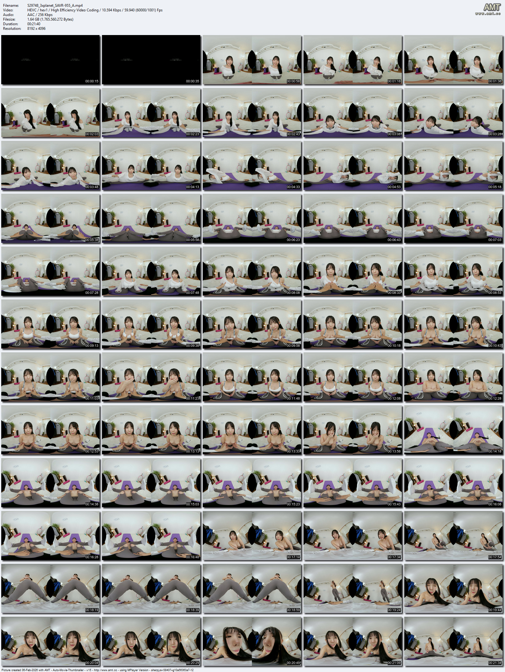 SAVR-955 screens previewer