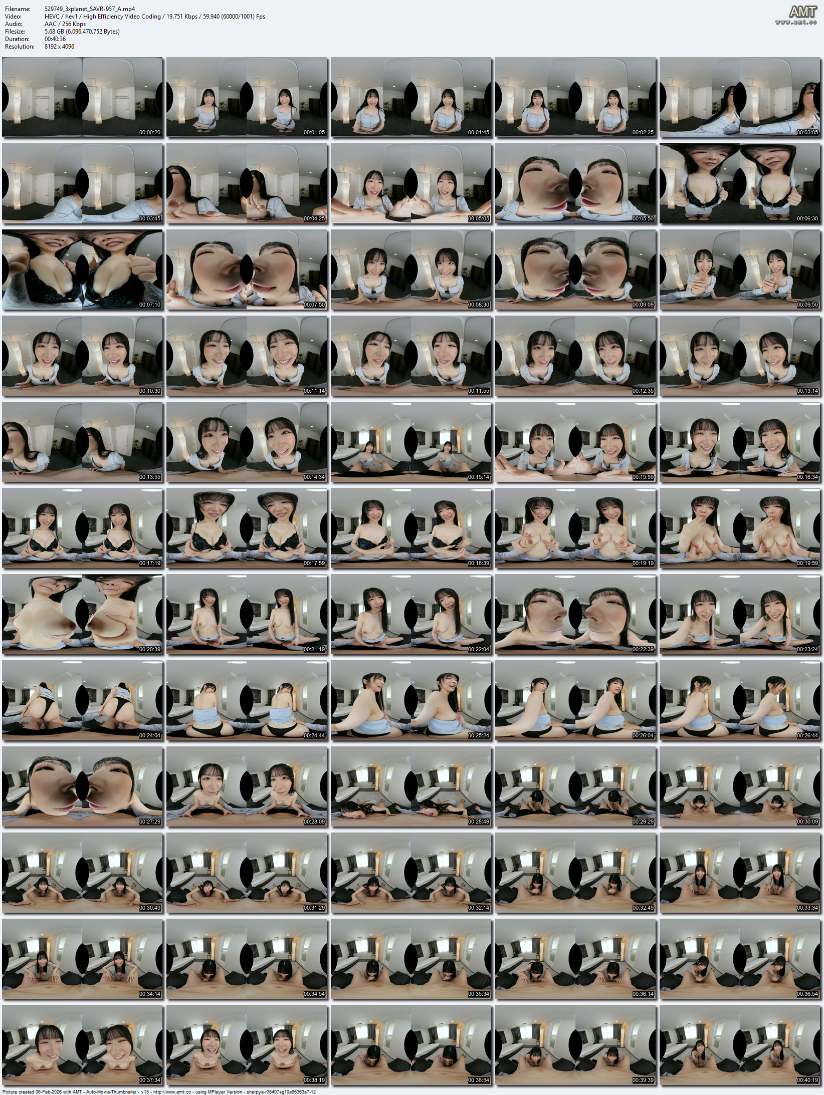 SAVR-957 screens previewer