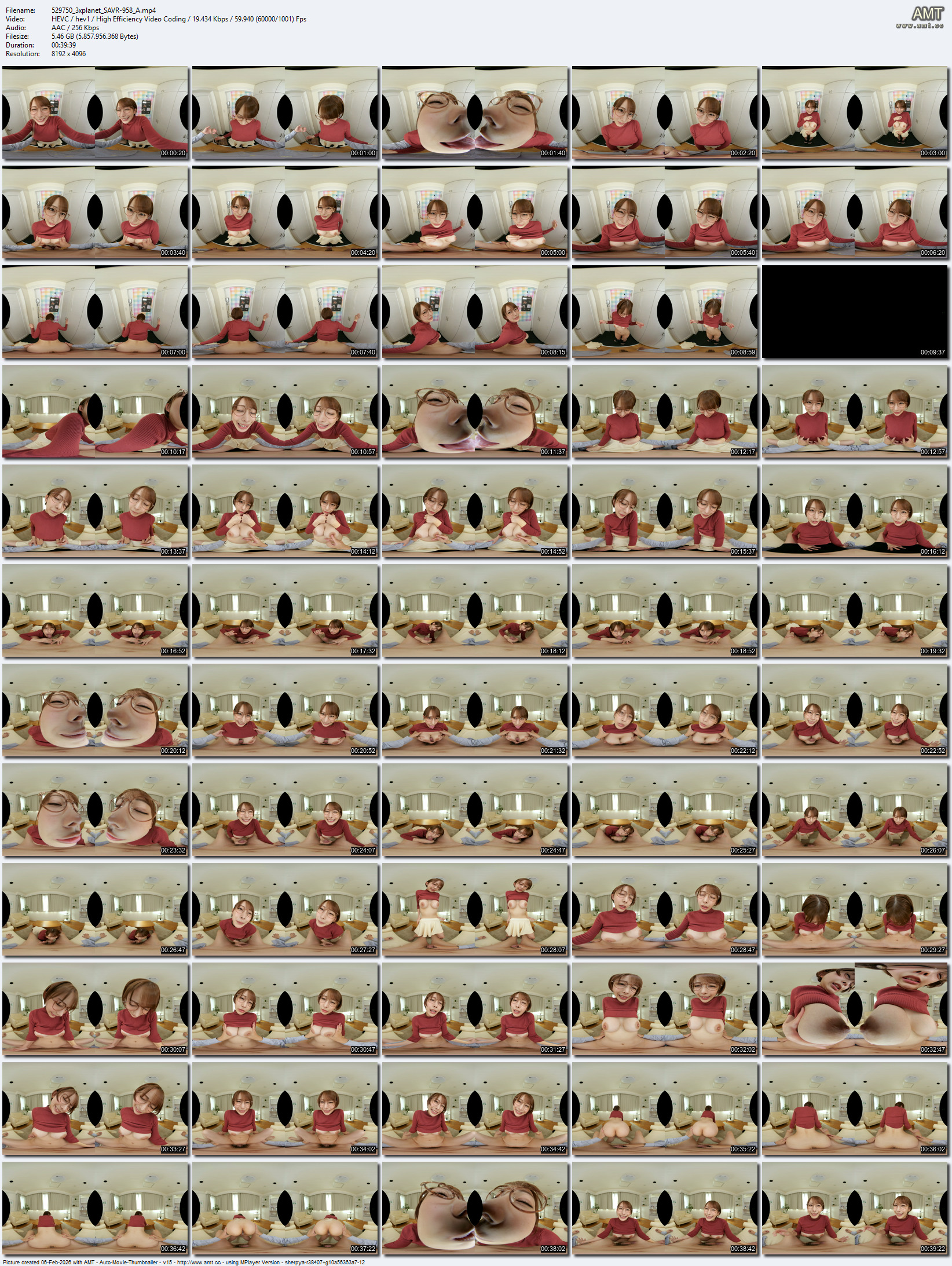 SAVR-958 screens previewer