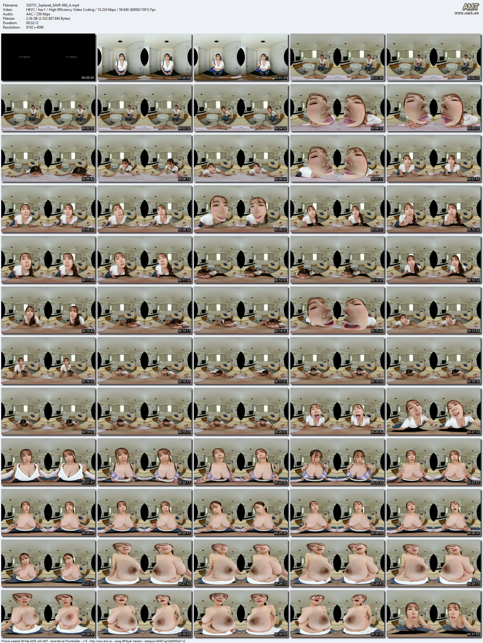 SAVR-968 screens previewer