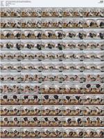 532481_3xplanet_Virtual_Taboo_-_Maya_Sinn_-_Breakfast_Ca20260222_s