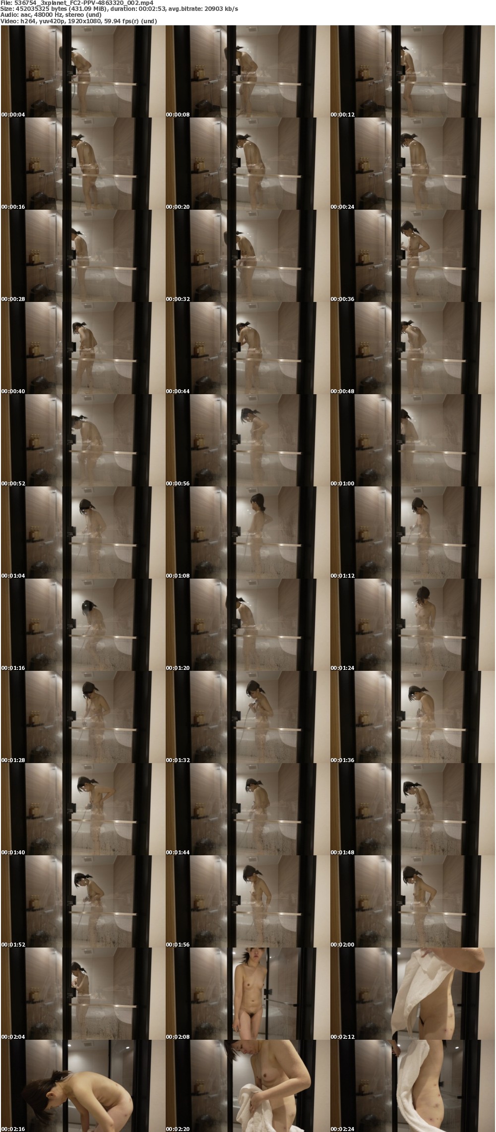 FC2-PPV-4863320_002 screens previewer