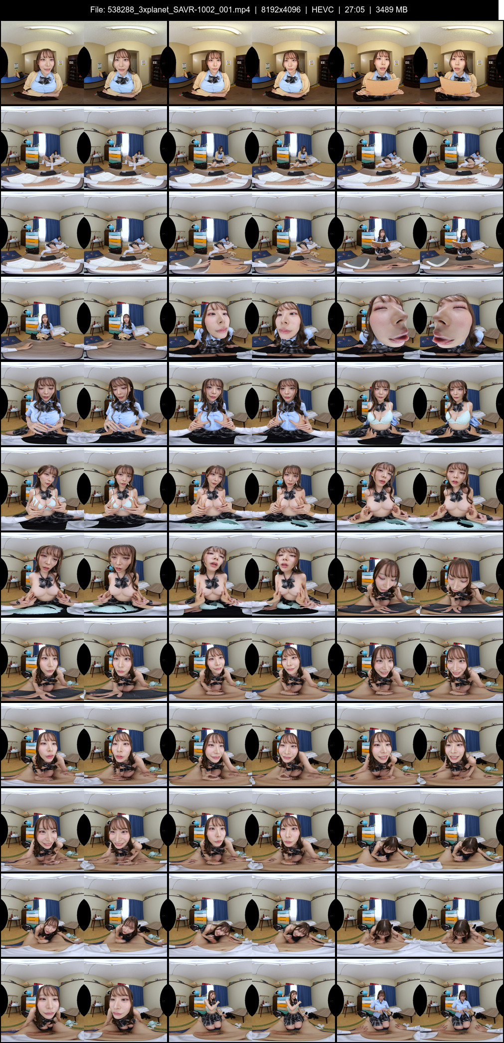 SAVR-1002_001 screens previewer