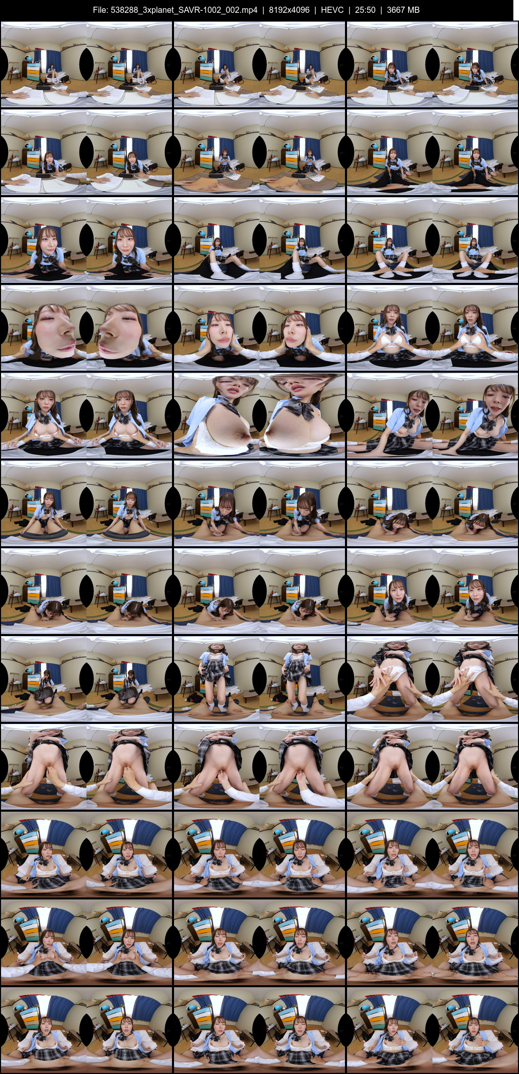 SAVR-1002_002 screens previewer