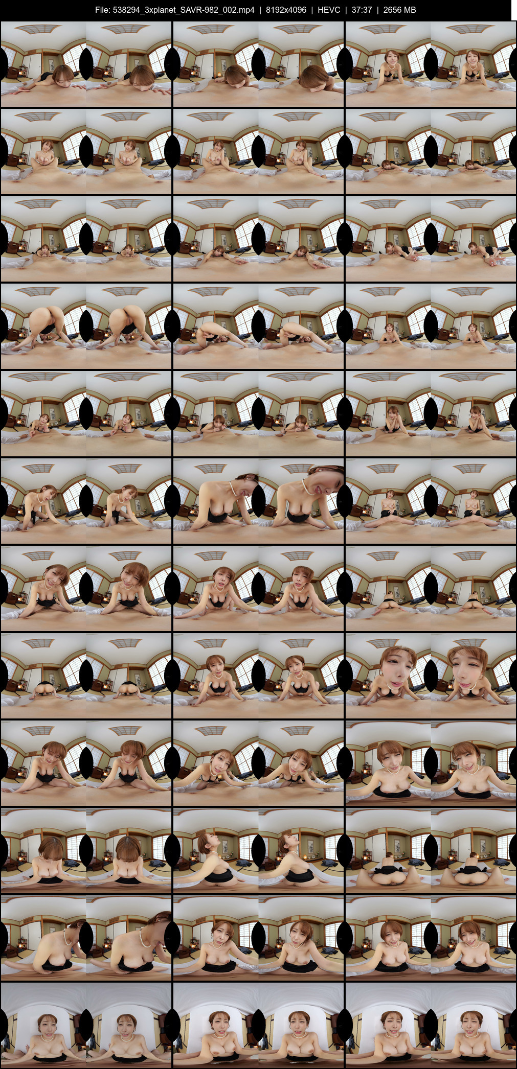 SAVR-982_002 screens previewer