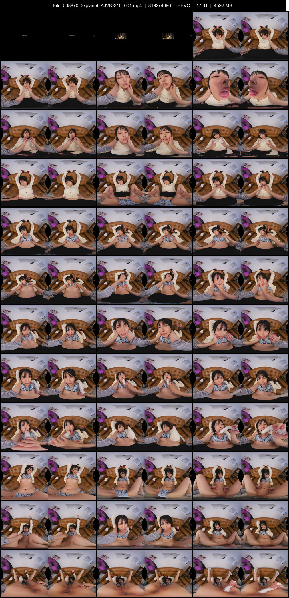 AJVR-310_001 screens previewer